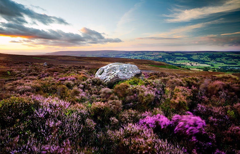 nidderdale